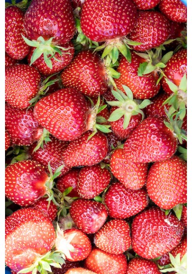 Căpșuni proaspete la comandă